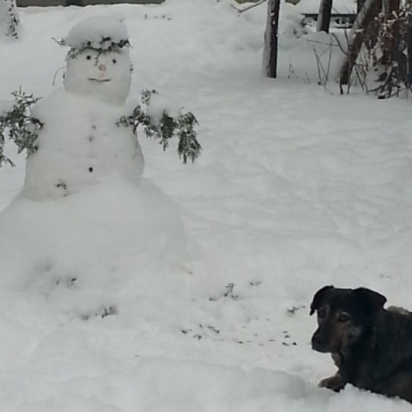 Snowman-and-dog-03