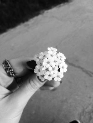 mopana-white-little-flowers-02